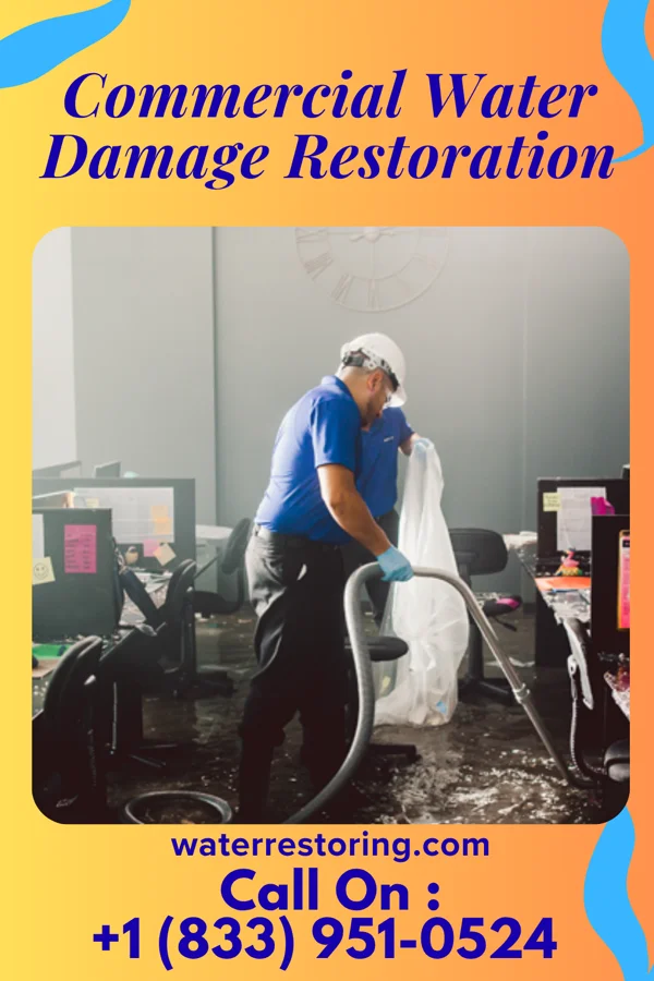 Commercial Water Damage Restoration in Stanford, IL